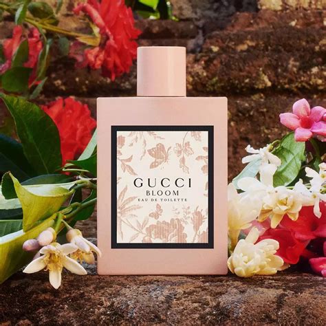 scent of gucci bloom